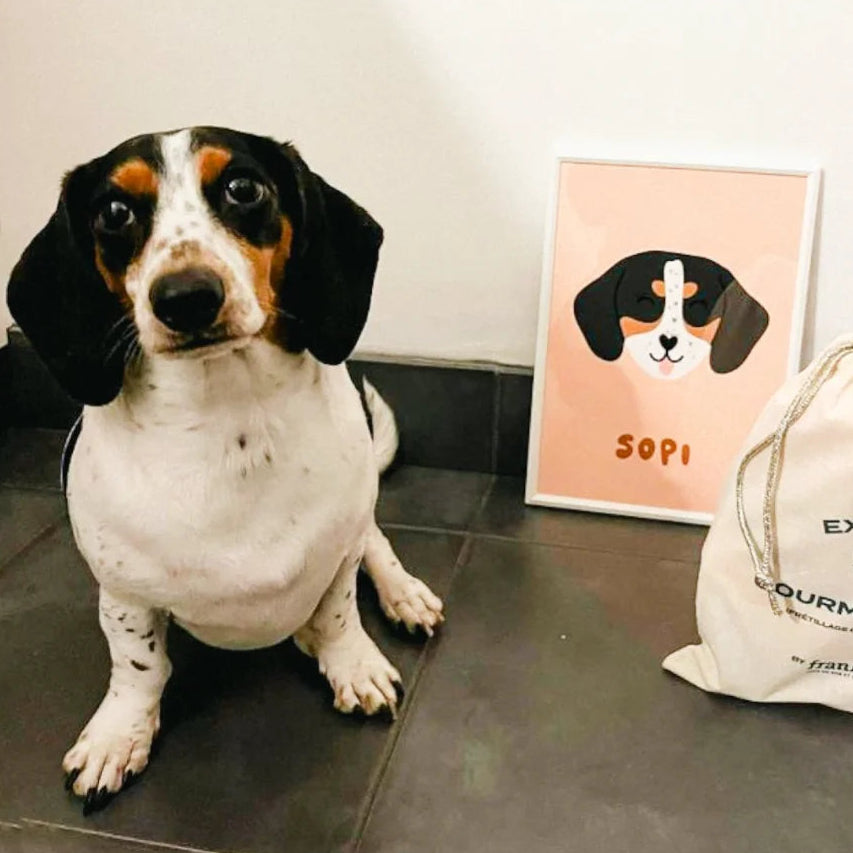 Portrait animal coloré