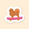 Sticker - Spitz skateur