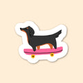 Sticker - Teckel skateur