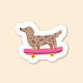 Sticker - Teckel skateur arlequin